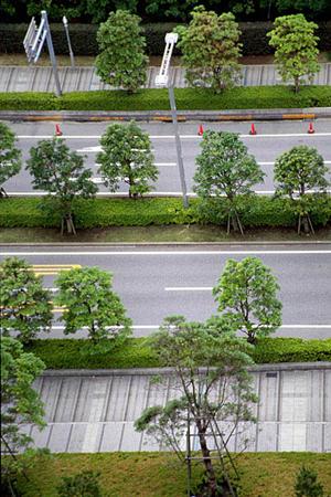 コバックの車検の種類や内容について