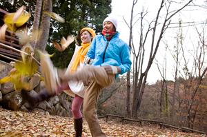 美祢市に位置するトヨタカローラ山口 美祢店の詳細と魅力を徹底解説