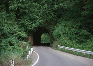 車検専門店のコバックで費用を見積もり