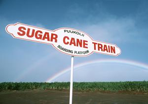 カーカバーで自動車を守りましょう